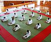 International Judo Camp, Rovinj 2009