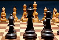 XXIII Otvoreni međunarodni šahovski turnir "OPEN PULA 2009"