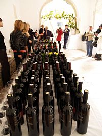 Izložba crvenih vina, bijelog tartufa i gljiva @ Grožnjan, ISTRA