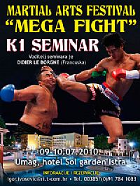 Martial Arts Festival “Mega Fight”