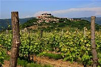 Dan otvorenih vinskih podruma u Istri