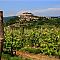 14th Wine Day