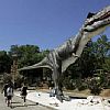Jurassic park at Funtana, Vrsar